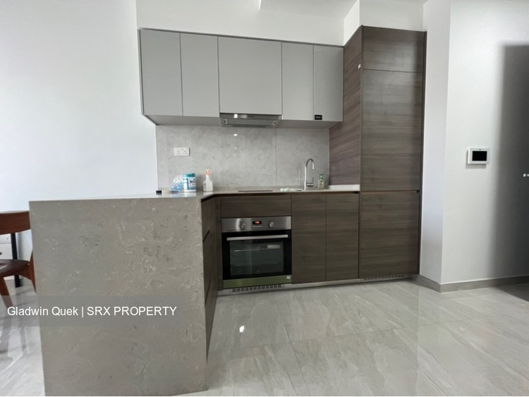 The Florence Residences (D19), Apartment #484564831